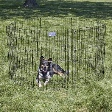 Клітка-загорожа для собак Midwest Homes for Pets 550-36DR, 157 x 157 x 91 см, чорна емаль, з дверцятами