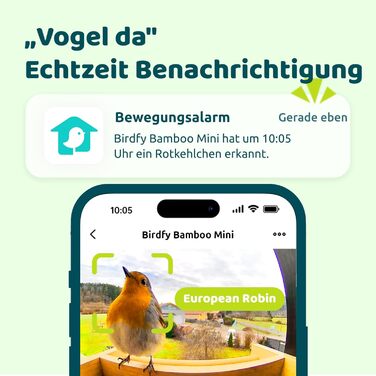 NETVUE Birdfy бамбуковий міні годівничка з камерою для спостереження за птахами, сонячна батарея, автоматичний запис, сповіщення в додатку