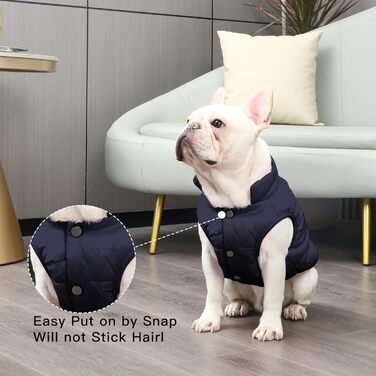 Тепла куртка для собак JoyDaog з флісовою підкладкою, 2 шари, для зими та холодної погоди, м'яка, вітронепроникна, розмір S, блакитна