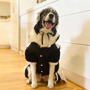 Сукня для собак FLAdorepet, костюм горничної з пов'язкою, костюм на Хелловін, наряд для великих порід, собак, дівчаток, цуценят, на Різдво, у відпустку, на весілля, сукня принцеси (чорна, XXX-Large (вага 36-45 кг))