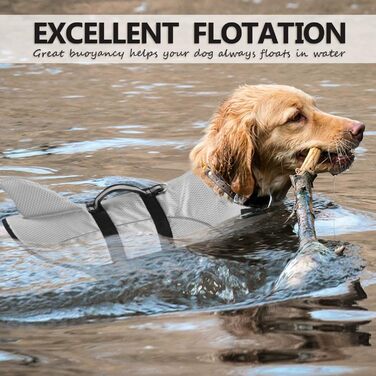 Рятувальний жилет для собак Queenore, для малих собак, для катання на човнах, високоякісний, світловідбиваючий, преміум-якість (Світло-блакитний, M, Grey)