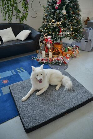 Ортопедичне собаче ліжко Raikou з плюшевою подушкою, 100x80x9 см (Сірий меланж)