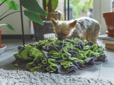 TrendPet інтерактивний снiффлiнг-килимок для собак 48х48 см, 10 см, нековзний, зелений