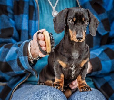 Mikki 6280002 Бамбукова рукавичка-щітка для грумінгу собак та котів з кулькоподібними наконечниками
