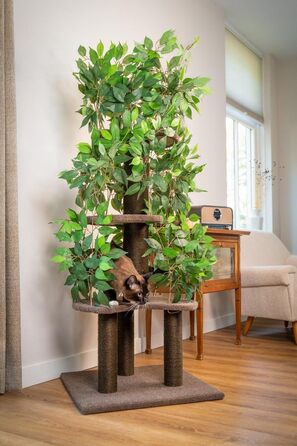 Котячий будиночок-крісло 160 см – стабільний котячий будиночок з змінними подушками – для великих котів – сучасний та декоративний