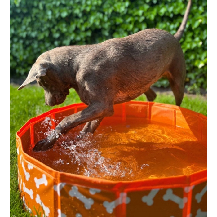 Охолоджувальний басейн для собак The Swim Essentials Bonebash Orange, 80 см