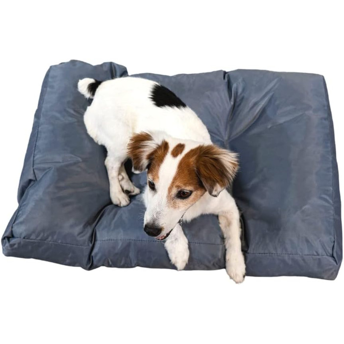 Ліжко для собак Bananair - м'яке та зручне, XXL, 75 x 50 x 10 см, сірий колір, водонепроникний матеріал, легко миється. Підходить для маленьких та великих собак