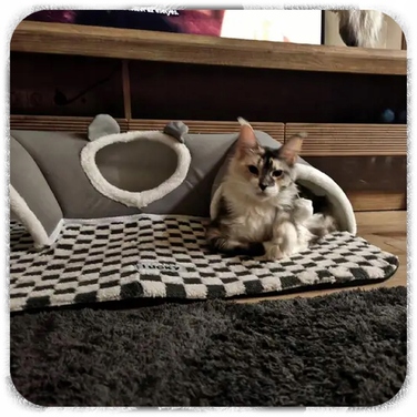 Плюшеве ліжко-шахівниця для котів з тунелем 2в1, сіре, розмір XL 86x70x26 см