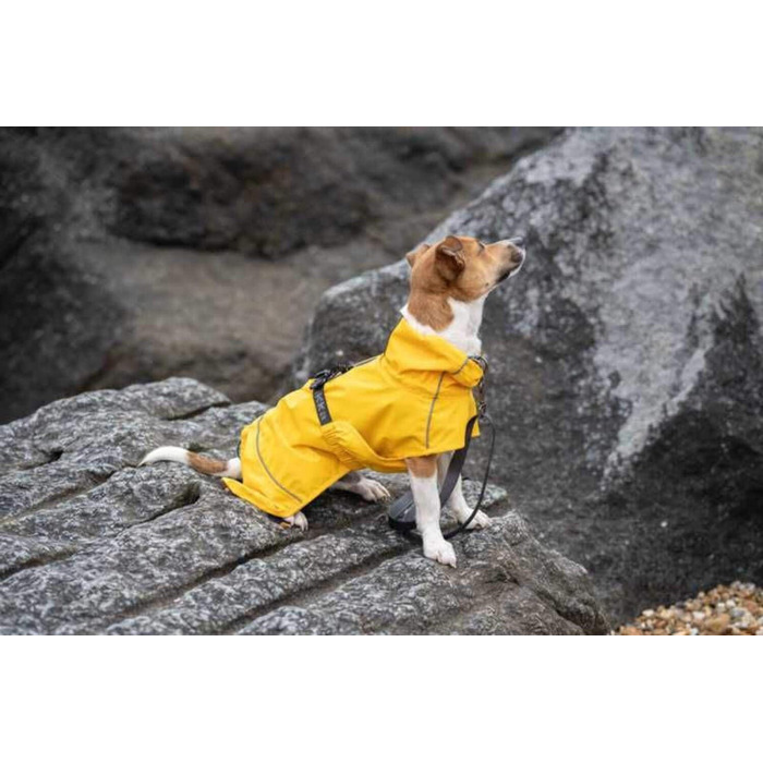 Жовтий дощовик для собак Rukka Pets Hayton Eco (25)