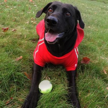 Теплий пуловер/куртка для собак, чорний, розмір 8XL