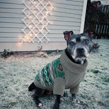 Зимовий теплий одяг для собак: куртка, теплий костюм, светр (сірий, L)