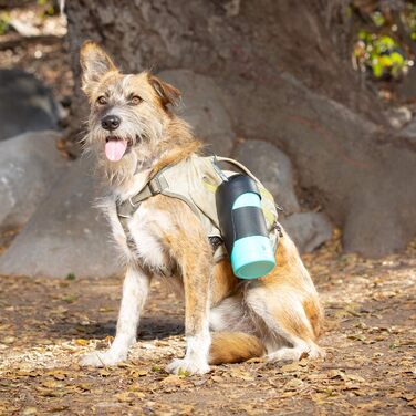 PetFusion портативна пляшка для води з нержавіючої сталі для собак та домашніх тварин, з м'ятою, для подорожей