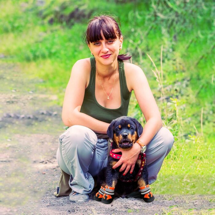 Водонепроникні чоботи для собак, 4 шт. Антиковзкі чоботи для собак з відбиваючим ремінцем, дощовики для собак, захист лап для малих, середніх та великих собак (S, Помаранчевий)