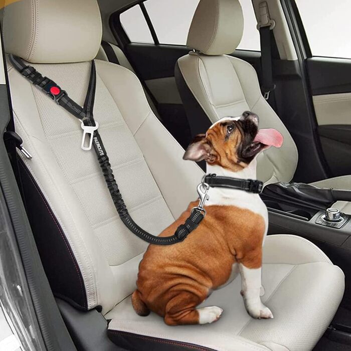 Автогурт для собак у машину, 2 в 1: ремінь та амортизатор, для всіх порід, 2 шт.
