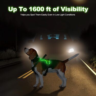 Нашийник для собак Masbri з підсвічуванням, регульований, світловідбиваючий, з ручкою, м'який, світловідбиваючий, для собак середніх та великих порід, чорно-білий, TC3005B, чорно-білий (L, зелений)