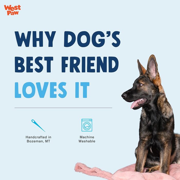 WEST PAW Big Sky покривало для собак, велика флісова ковдра для меблів, диванів, крісел, машинне прання, штучна замша, синя