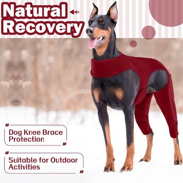 Комбінезон для собак після операції на ногах – захист від витікання, запобігання інфекцій, розмір XL, бордовий