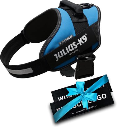 Шлейка Julius K-9 IDC Powergeschirre з індивідуальним написом, для собак малого, середнього та великого розміру, 16IDC+CUSTOMP-ANT (Аквамарин)