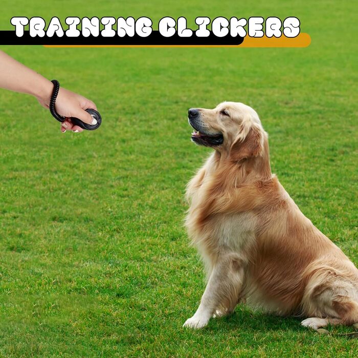 Набір для ласощів для собак CONLI: сумка для тренувань, складна миска та клікер, автоматичне закриття, для пакування ласощів