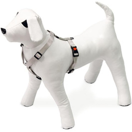 колір: синєгрань