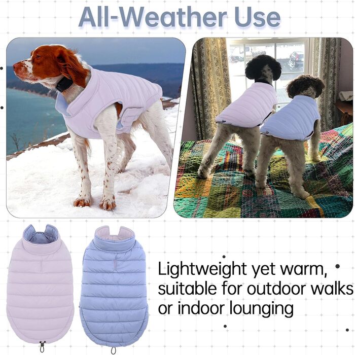 Водонепроникний та вітронепроникний зимовий теплий куртка для собак Lelepet, Puffer-жилет, для маленьких собак, Chihuahua, зелений, розмір 3XL, фіолетовий