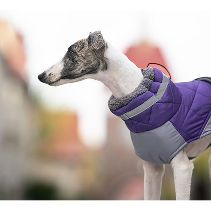 Водонепроникний жилет для собак, теплий, з високим коміром, зелений (S, фіолетовий)