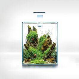 Aquael Shrimp Set SMART D&N 20 Білий акваріум для креветок, енергоощадний
