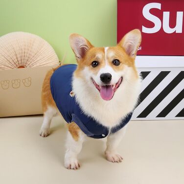 Зунеа - Зимові куртки для собак, коргі, джек-рассел, малі та середні породи, флісова підкладка, D-кільце, тепла, для холодної погоди, жилет, одяг для цуценят, домашній улюбленець, (3XL, Синій)