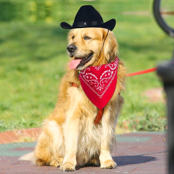 Ковбойський костюм для тварин: капелюх та бандана. Вечірковий аксесуар для собак та котів. Чорний комплект для святкування дня народження в мексиканському стилі.