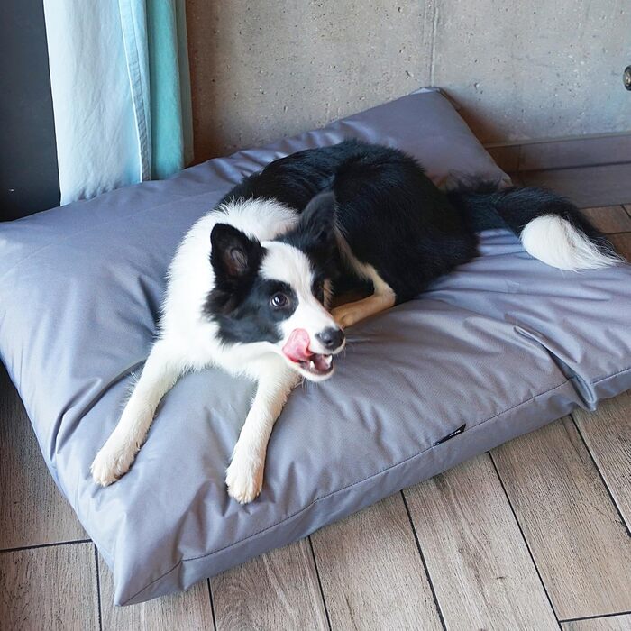 Водонепроникне лежанка для собак 80x60 см ZOE 4L Textil - лежанка для собак середнього розміру, знімний чохол, сірий колір