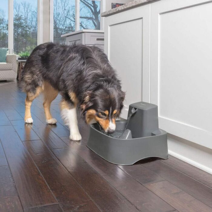 Автоматичний фонтан для води PetSafe Drinkwell 7,5 л для великих собак і котів, з фільтром, легке очищення