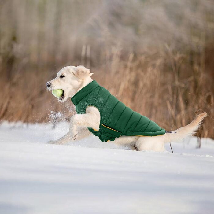 Водонепроникний та вітронепроникний теплий зимовий жилет для собак Lelepet, XS, зелений