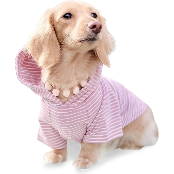 Світшот для собак Джанго, теплий, м'який, з капюшоном, для маленьких собак до 11,3 кг (Такса, цуценята), розмір S, колір: Blush Pink