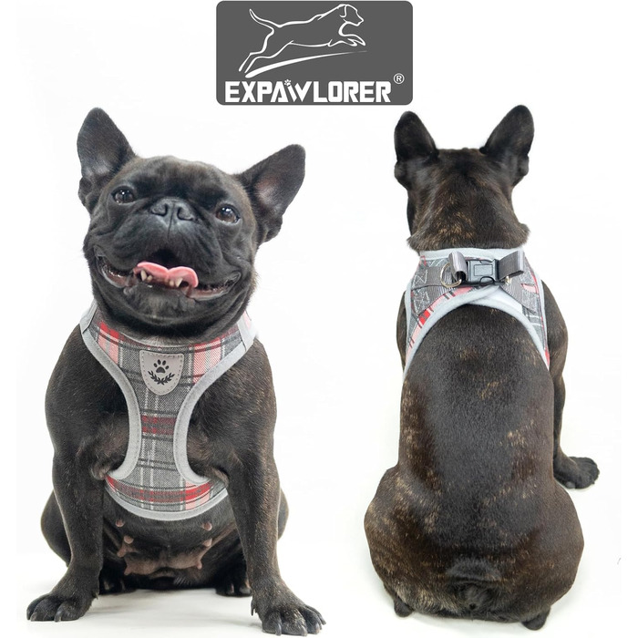 Нашийник та поводок для собак ExPawlorer – класичний вишуканий комплект для середніх собак, сірий колір, не тягне, регульований, надійний для прогулянок