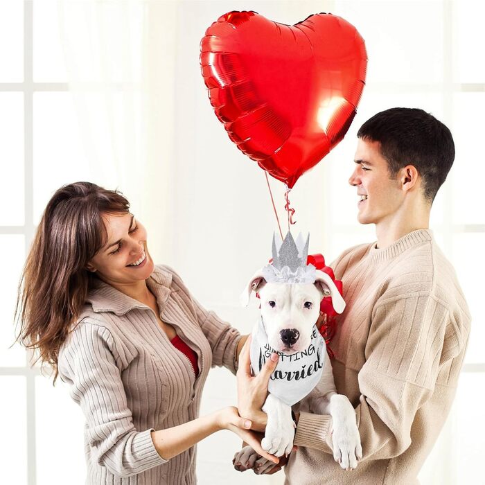 Сукня для собак SCENEREAL на весілля з банданою, комірцем-бантиком та короною, комплект для собак, дівчаток, цуценят, кошенят, аксесуари для вечірки, спідниця-тьюль, костюм для маленьких, середніх та великих собак, білий (Весільний)