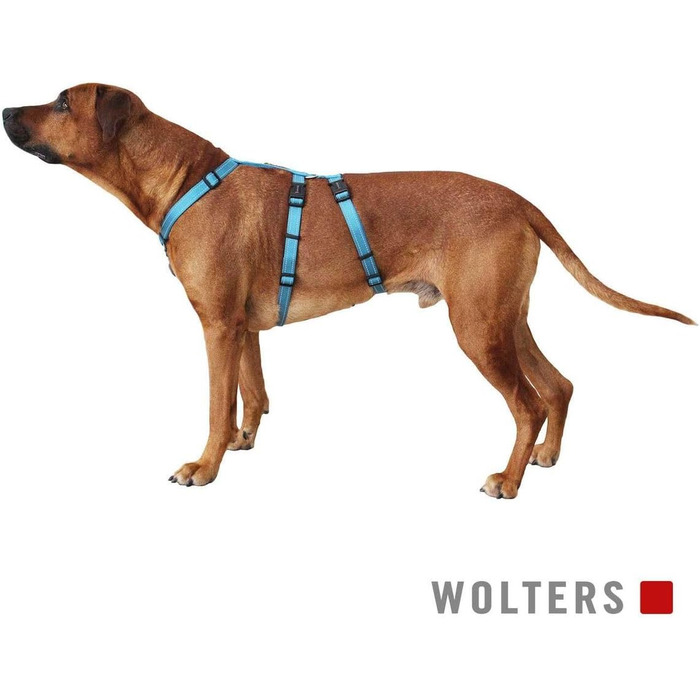 Шлея для собак Wolters Soft & Safe No Escape M 40-50 см, бірюзова
