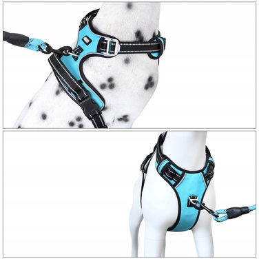 Регульована шлейка для собак HUGGY DOGGY, синя, розмір S