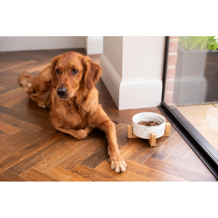 Керамічна миска для собак та котів Pet Wiz з бамбуковим підставкою, піднята миска для зручної позиції під час їжі та пиття, 5 кольорів, об'єм 850 мл (Мраморний сірий)