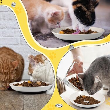 Набір з 6 керамічних мисок для котячого корму, миски для котів, миски для кошенят, антиковзаюча підставка, широкі та плоскі миски для їжі