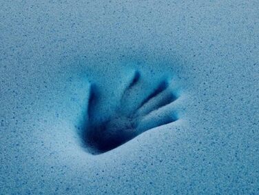 Ортопедичне ліжко для великих собак Dogbed4less з піни Memory Foam, міцним джинсовим чохлом, водонепроникною підкладкою та додатковим чохлом, 140x119x10 см
