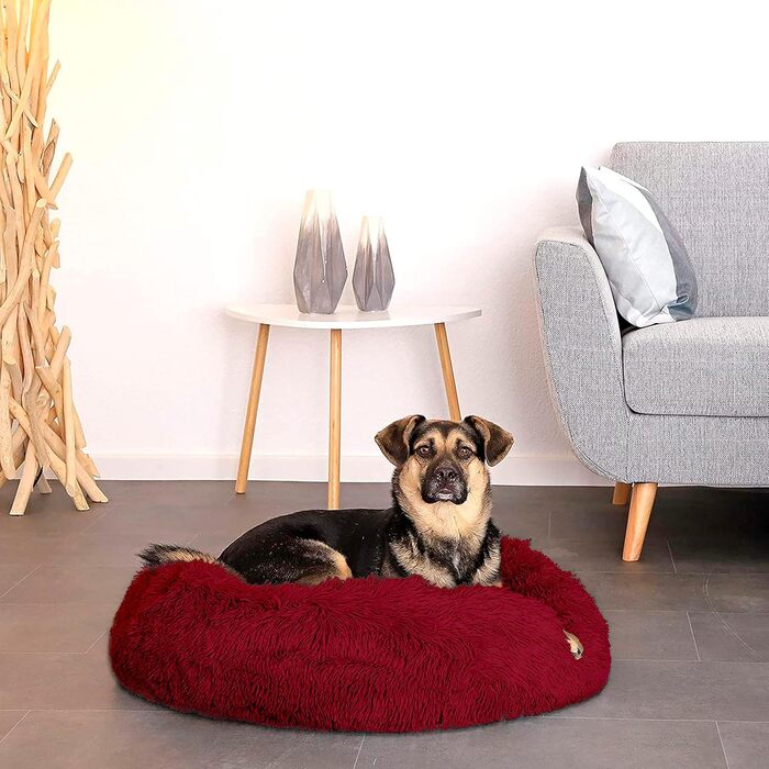 Лежанка для собак середніх та маленьких порід, міцна та анти-гризун, миється, для котів та інших домашніх тварин, 50 x 70 см, бордовий колір