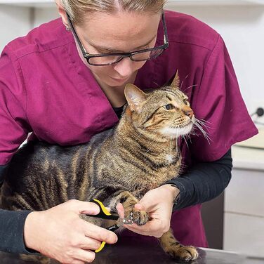 Шліфувальник кігтів для собак Candure: тихий, акумуляторний, з LED-підсвічуванням та змінним насадженням. Підходить для собак всіх розмірів (XS, жовтий)