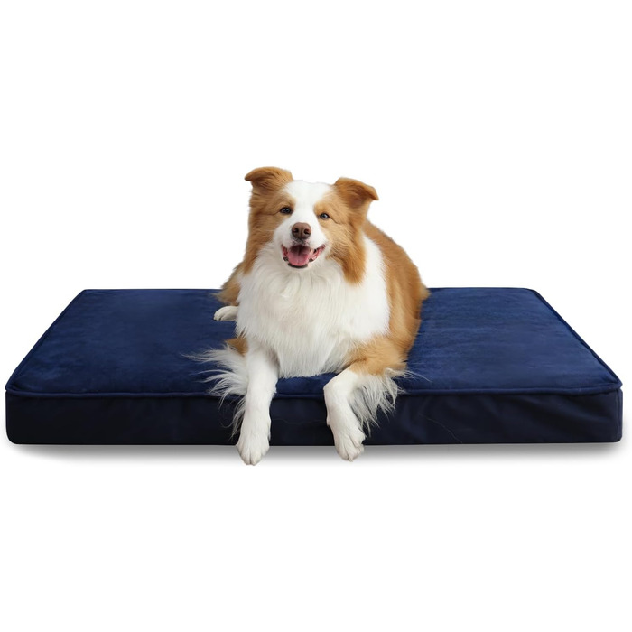 Ортопедичне ліжко для собак великих порід, водонепроникний знімний чохол, неслизьке, миється, блакитне, 105x70x10 см
