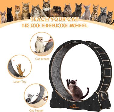 Катання для котів Homegroove, 113 см, XL: бігове колесо для дому, для зниження ваги та здоров'я котів