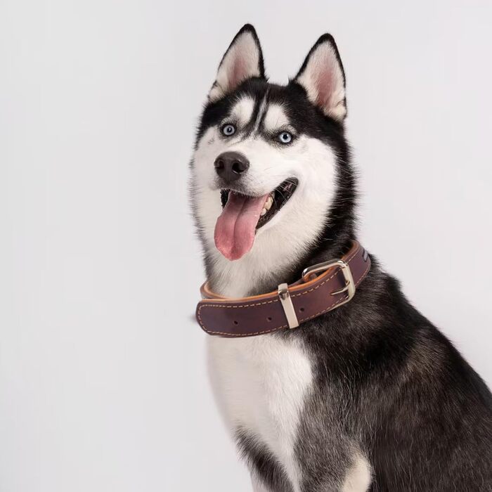 Нашийник для собак з натуральної шкіри, великих та екстра-великих порід (колір коричневий, розмір M)