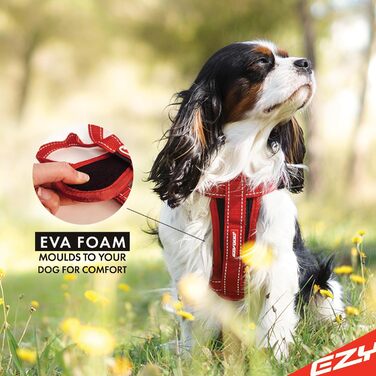 Шлея для собак EzyDog Cord, розмір M, 45–73 см, 10–19 кг