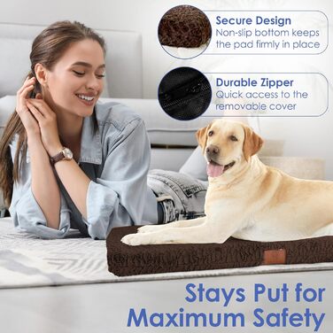 Матрац для собак American Kennel Club з memory foam, ортопедичний, 42x27 см, коричневий