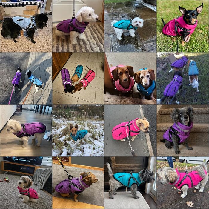 Теплий зимовий одяг для собак та котів - куртка, водонепроникний, зелений (XXL, червоний)