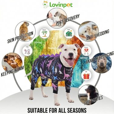 Комбінезон для собак великих порід LovinPet: дихаючий, з UV-захистом, антибактеріальний, для відновлення після операцій, зелено-оранжевий, XXX-Large