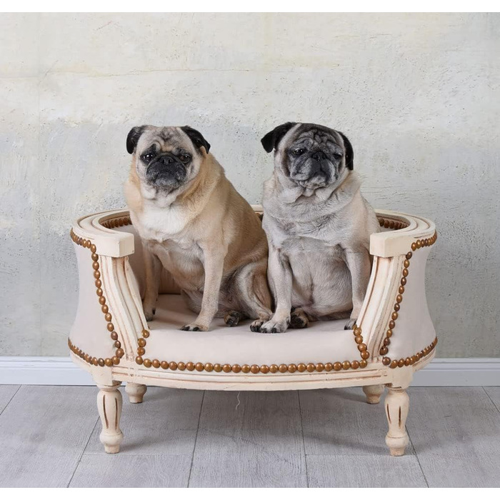 Диван для собак та котів, лежанка для собак, котячий лежак, банкетка, ліжко для собак та котів, диван, стиль барокко, Palazzo Exklusiv